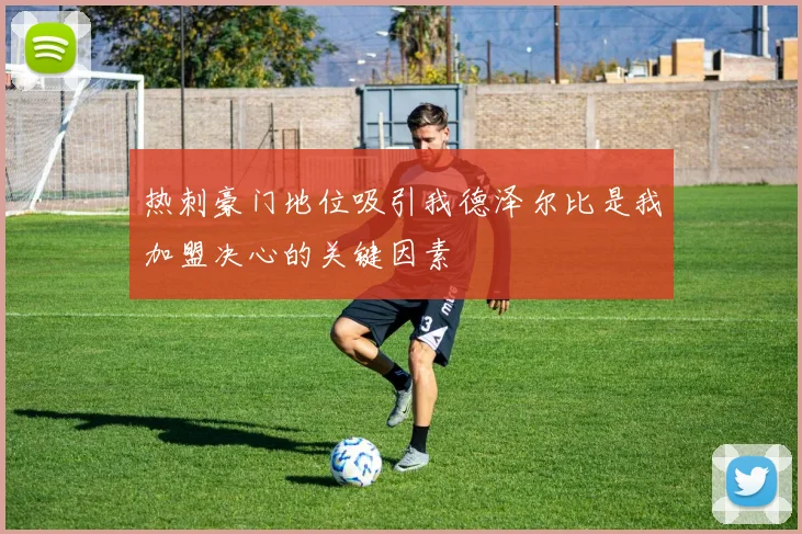 热刺豪门地位吸引我德泽尔比是我加盟决心的关键因素